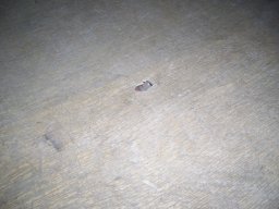 Auf - und Abbau 2014